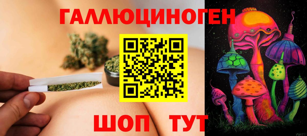 купить  сайты  Галлюциногенные грибы Psilocybine cubensis  Вход с VPN  Электрогорск 